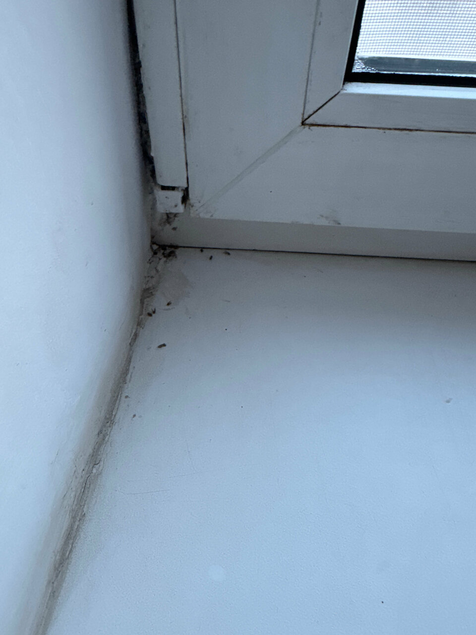 Гостиница Ашхен Осташков-209