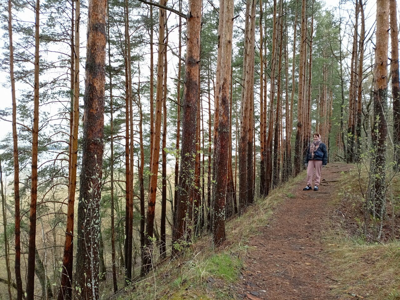 Гостиница Ашхен Осташков-193