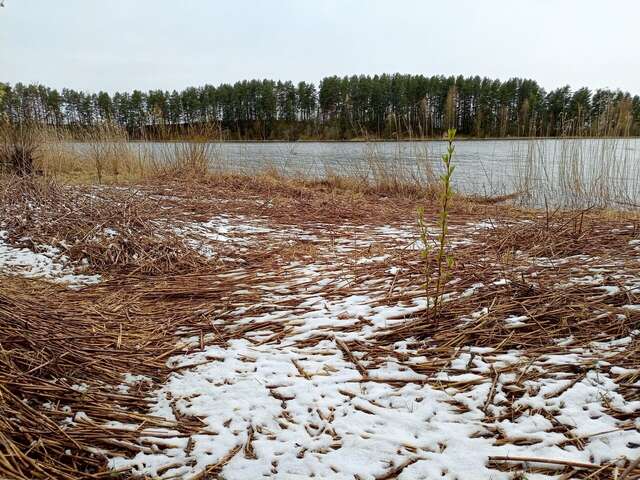 Гостиница Ашхен Осташков-189