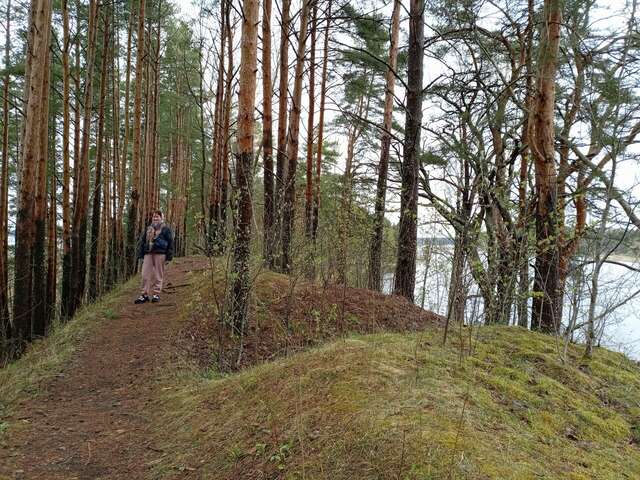 Гостиница Ашхен Осташков-174